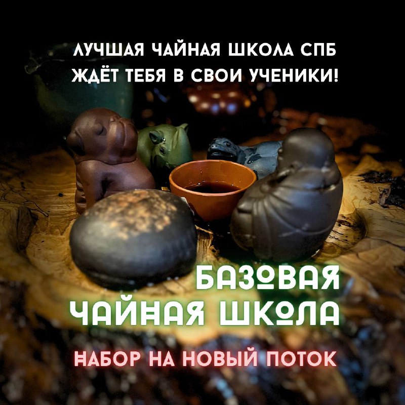 Кадр из публикации: Чайная Школа Белой Обезьяны лучшая в городе? 🐵🤔