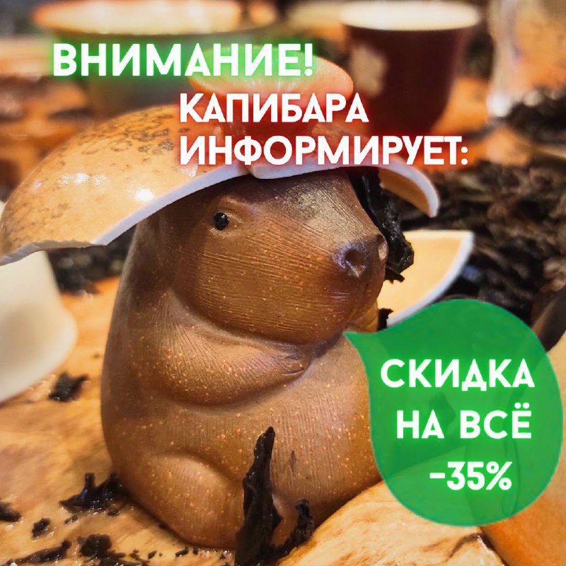 Кадр из публикации: Чайная Капибара информирует: