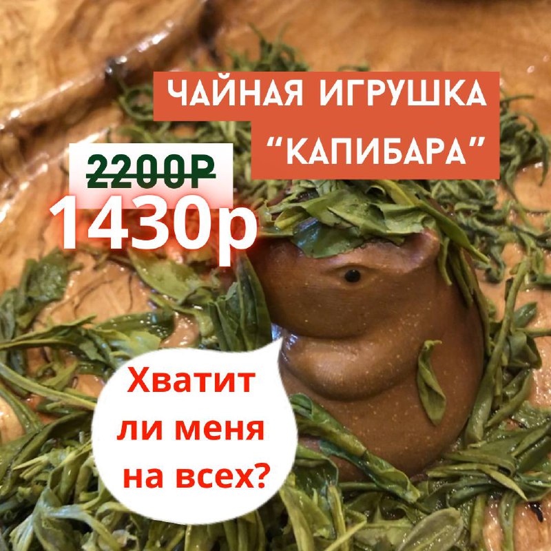 Чайная Капибара информирует: — фото 3