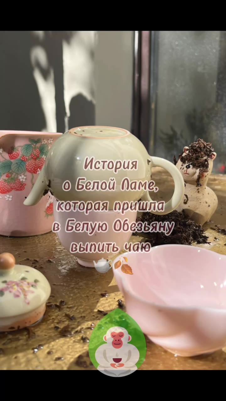 Кадр из публикации: История маленькой белой Ламы 🦙, которая пришла на Чайную Церемонию в магазин Белая Обезьяна 🐵🫖🍂