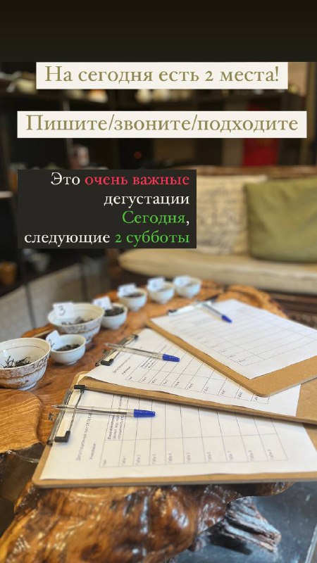 Кадр из публикации: На сегодня есть 2 места! 🐵🛋️
