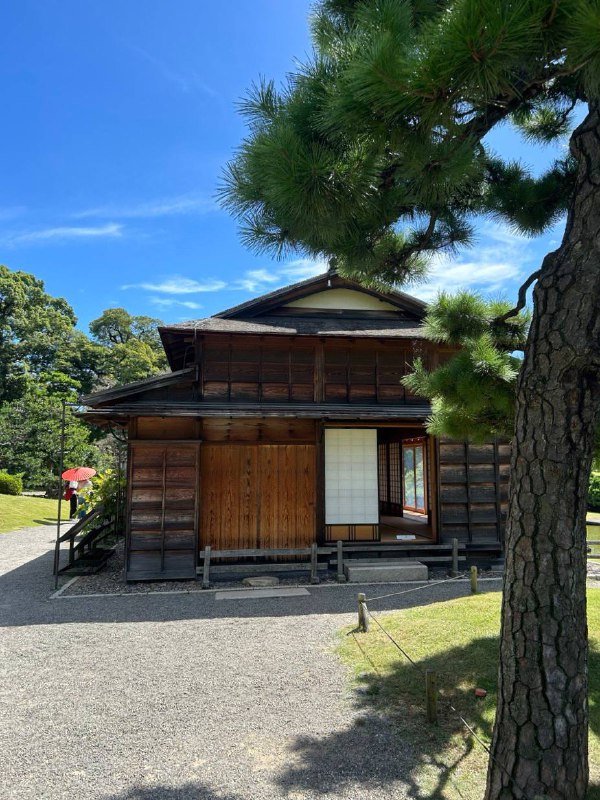 Впечатления о Гёкуро и японской чайной традиции от Миши: — фото 2