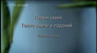 Кадр из публикации: Завтра смотрим 1 серию документального фильма «Чай - история одного листа» 🍃