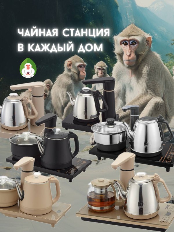 Теперь в Белой Обезьяне на Фурштатской 11 есть Чайная Станция 🐵🫖 — фото 1