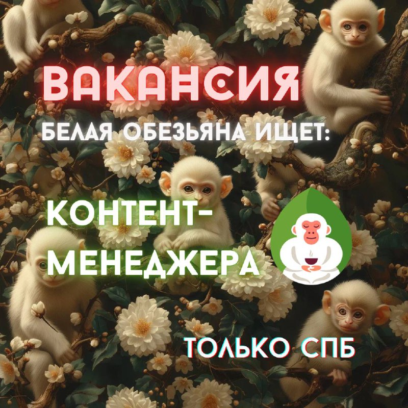 Новая вакансия в чайном магазине Белая Обезьяна 🐵🔥 — фото 1