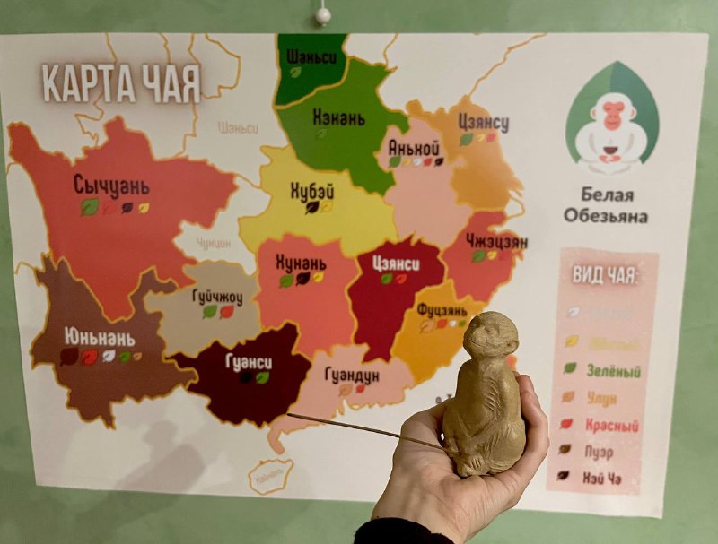Кадр из публикации: 2 новинки на одном фото: