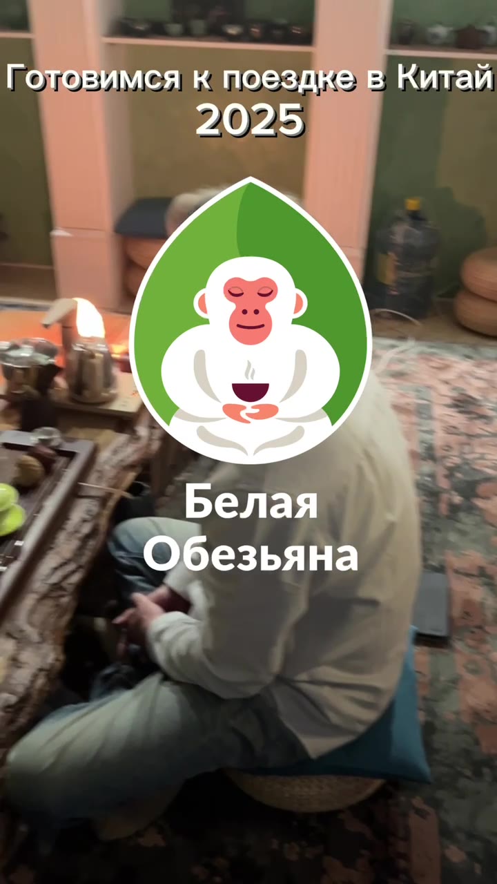 Кадр из публикации: Белая Обезьяна готовиться к поездке в Китай 2025 🐵🇨🇳