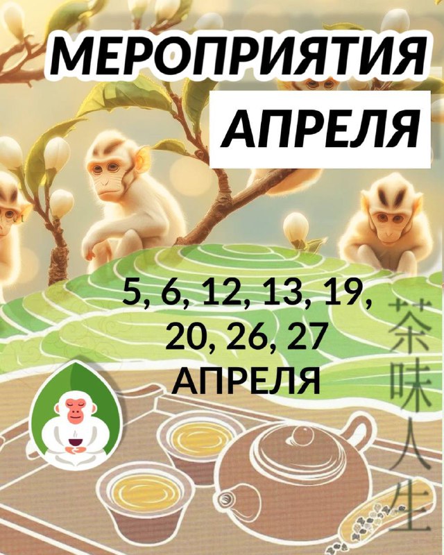 Дорогие друзья! 🎬🍵 — фото 1