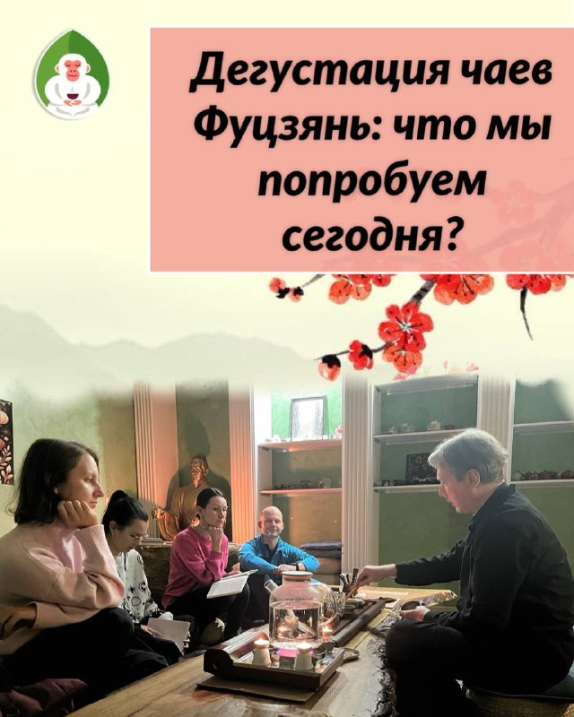 Сегодня в 14:00 — чайная дегустация! 🍃 — фото 1