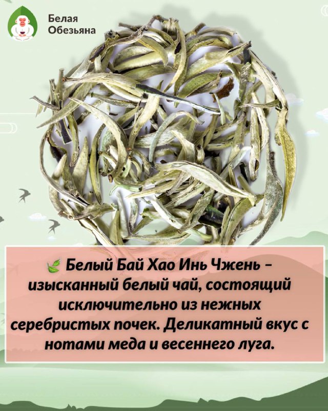 Сегодня в 14:00 — чайная дегустация! 🍃 — фото 2