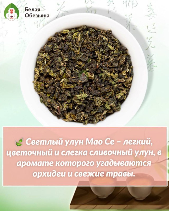 Сегодня в 14:00 — чайная дегустация! 🍃 — фото 3