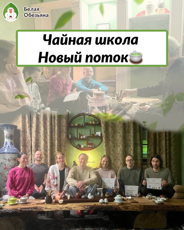 Кадр из публикации: Набор на новый поток Базовой школы чайной культуры "Белая Обезьяна" открывается! 🍵🐵