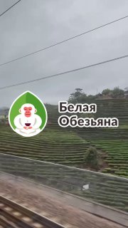 Кадр из публикации: 4 день завершён — и вот как это было🇨🇳