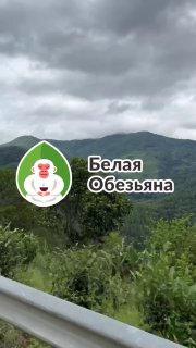Кадр из публикации: Китай, день 5! Третья часть 🇨🇳