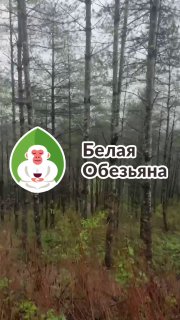 Кадр из публикации: Китай, день 6! 🇨🇳