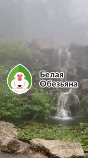 Кадр из публикации: Китай, День 7 🇨🇳
