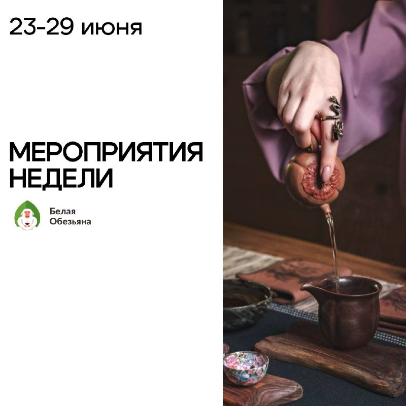 Кадр из публикации: Неделя в «Белой Обезьяне»