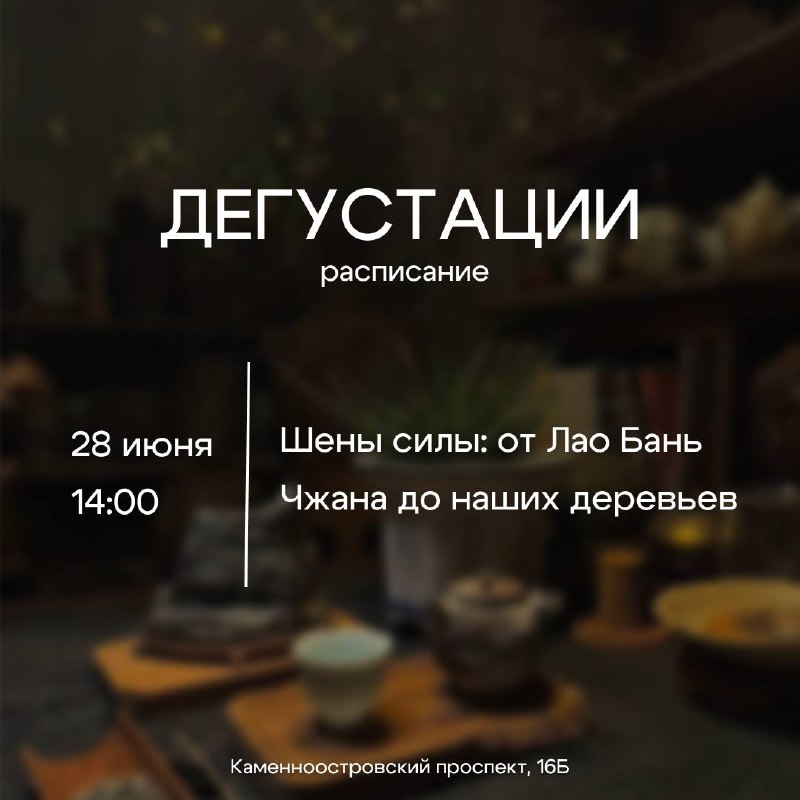 Неделя в «Белой Обезьяне» — фото 2
