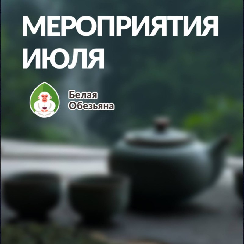 Мероприятия июля в «Белой обезьяне» 🐒 — фото 1