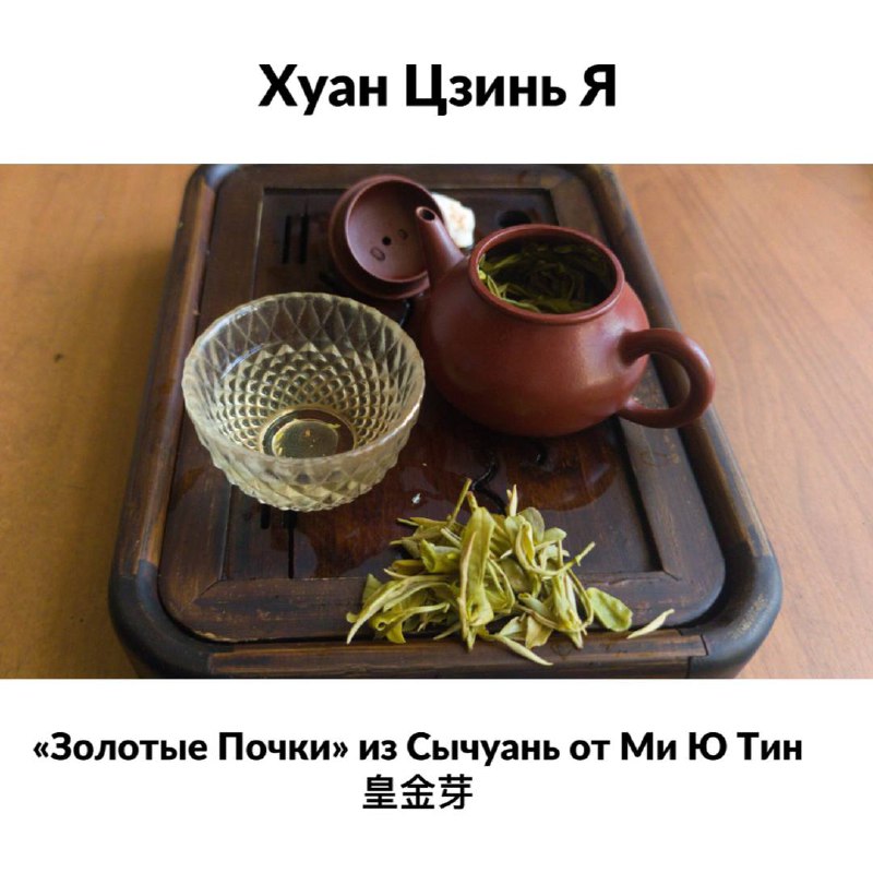 Золотая почка с юга Китая — встречайте Хуан Цзинь Я — фото 3