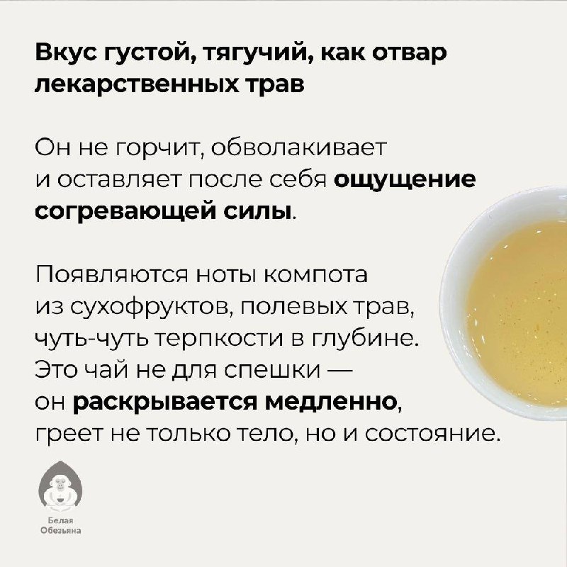 Цяо Му Шен с 50-летних деревьев, Мэнсун — фото 7