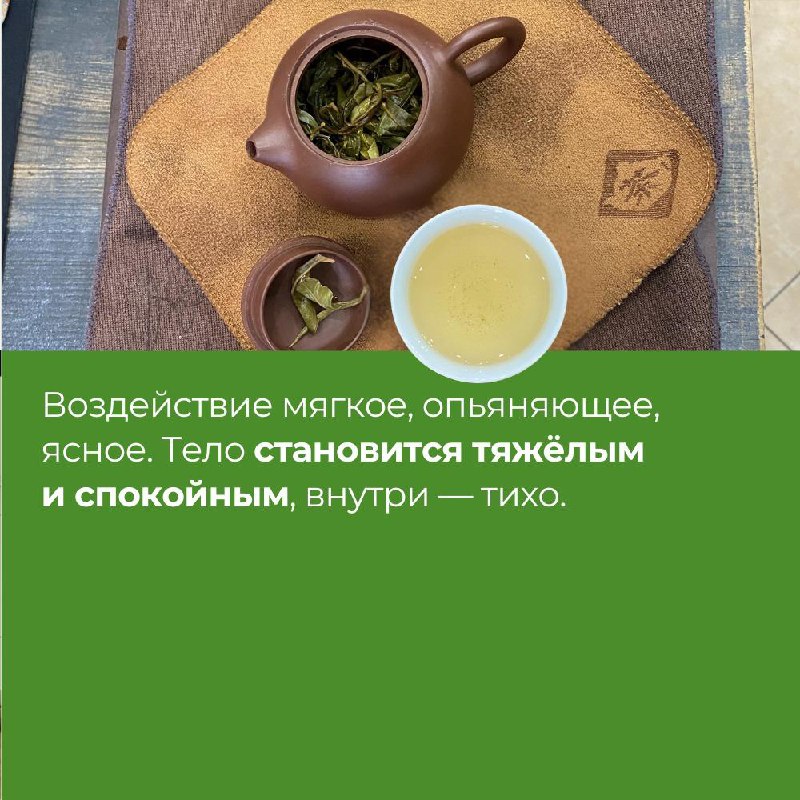 Цяо Му Шен с 50-летних деревьев, Мэнсун — фото 8