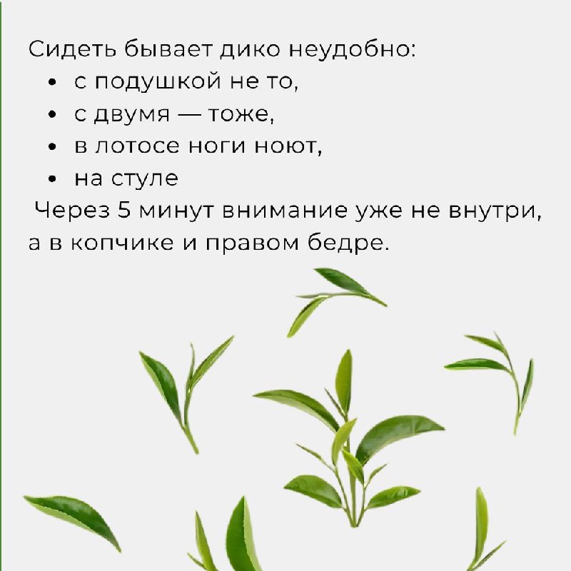 ЗАВТРА СИДИМ НА ПОПЕ РОВНО — фото 3