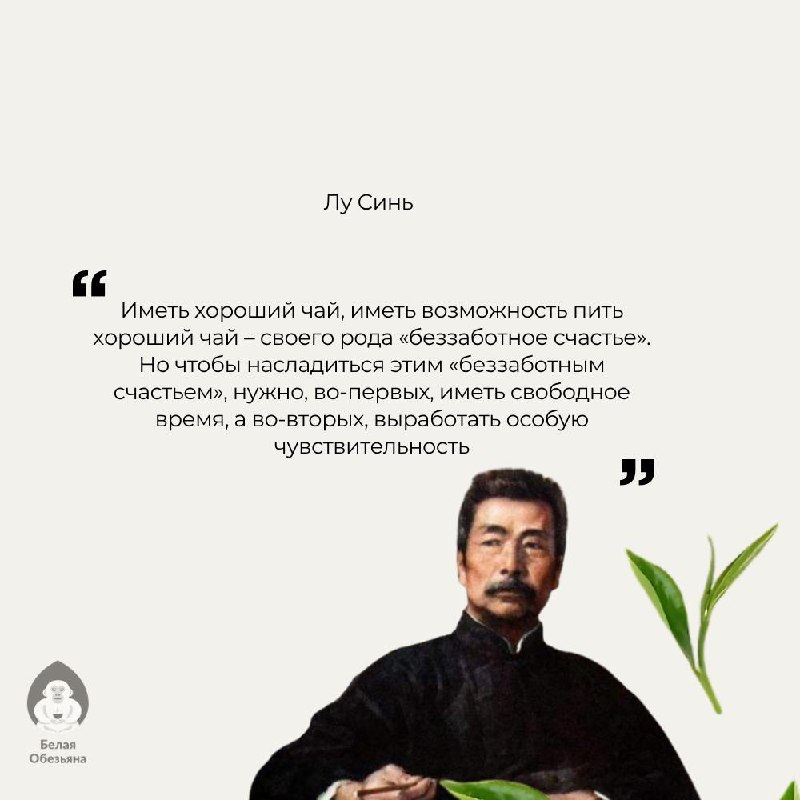 Кадр из публикации: Чай — это не просто вкус. Это состояние