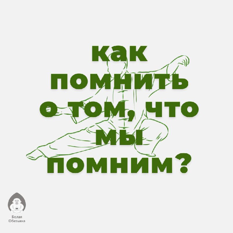 Кадр из публикации: Чайный цигун: Новизна как путь к осознанности