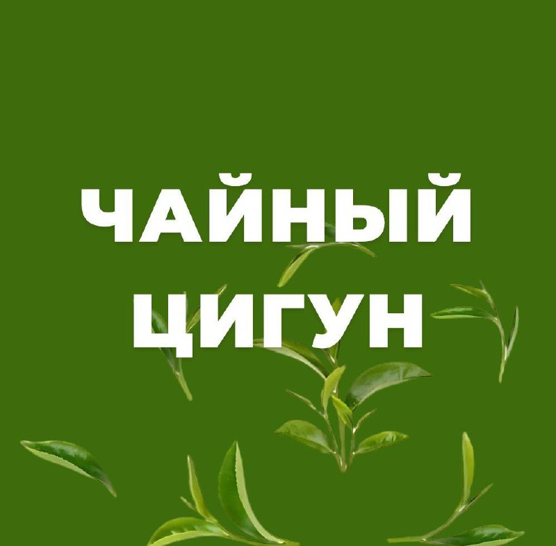 Чайный цигун: Новизна как путь к осознанности — фото 2