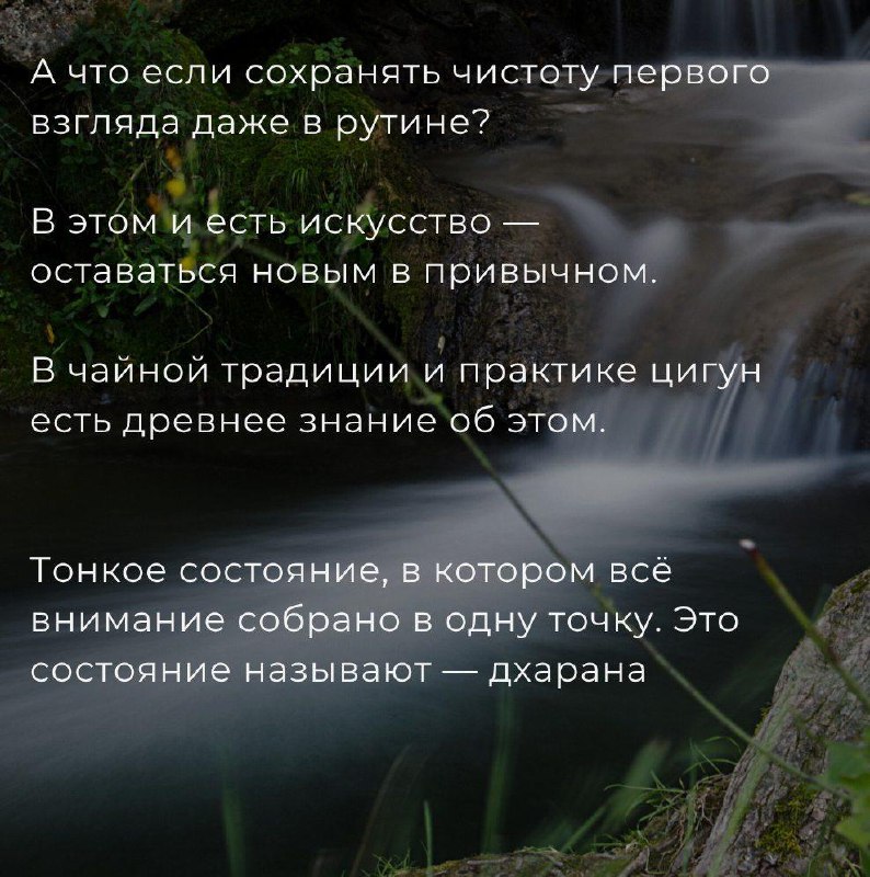 Чайный цигун: Новизна как путь к осознанности — фото 4