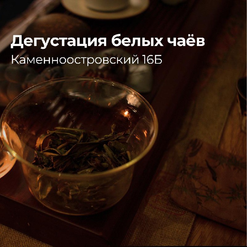 Выходные в «Белой Обезьяне» — фото 2