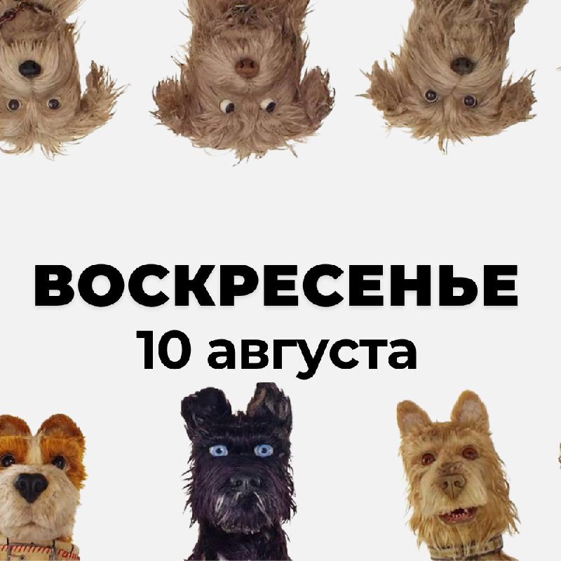 Выходные в «Белой Обезьяне» — фото 5