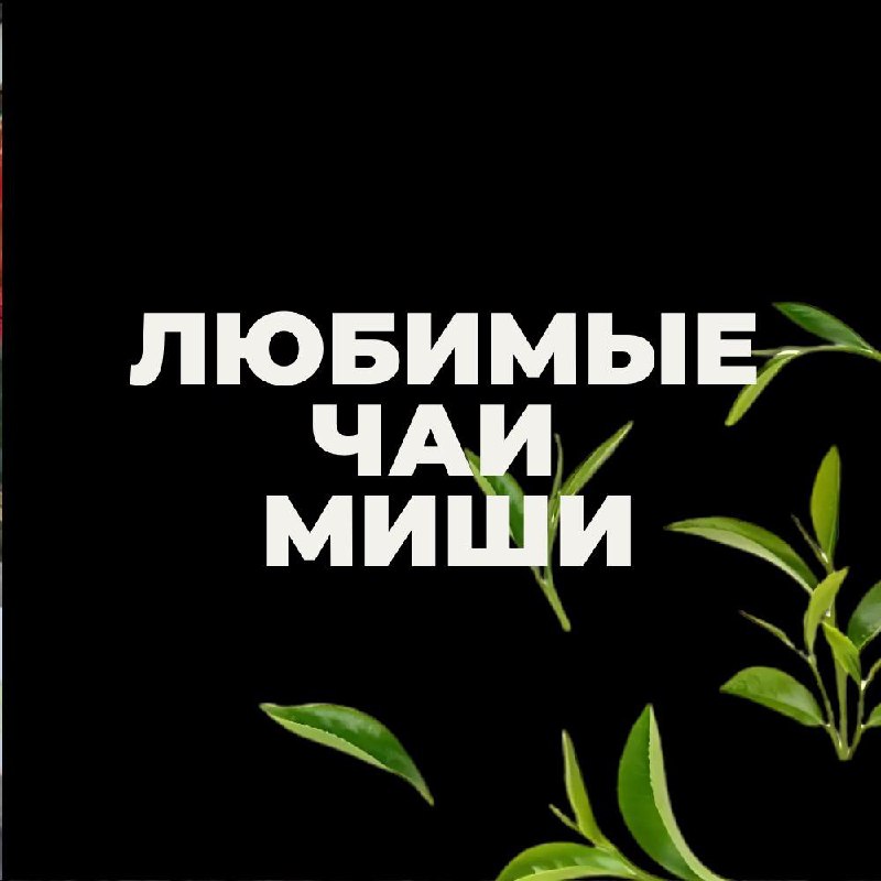 Как выбрать любимый чай, если каждый сорт — отдельная история? — фото 3