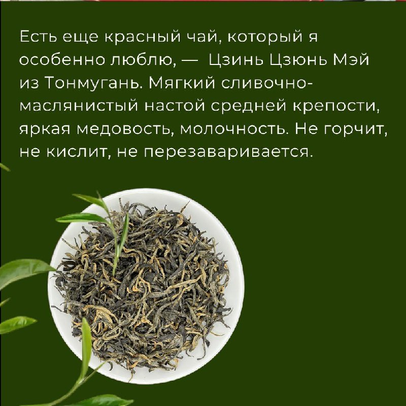 Как выбрать любимый чай, если каждый сорт — отдельная история? — фото 4