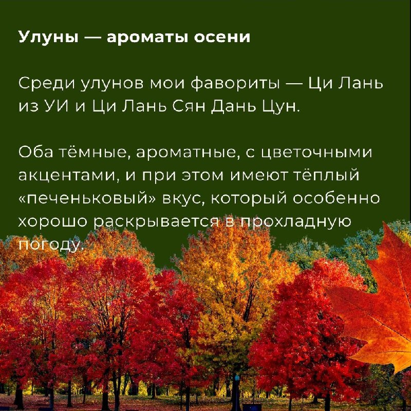 Как выбрать любимый чай, если каждый сорт — отдельная история? — фото 5