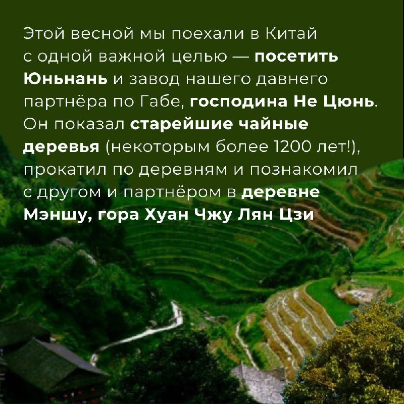 Для чайной компании важнее всего — доверие к партнёрам и уникальное сырьё — фото 1
