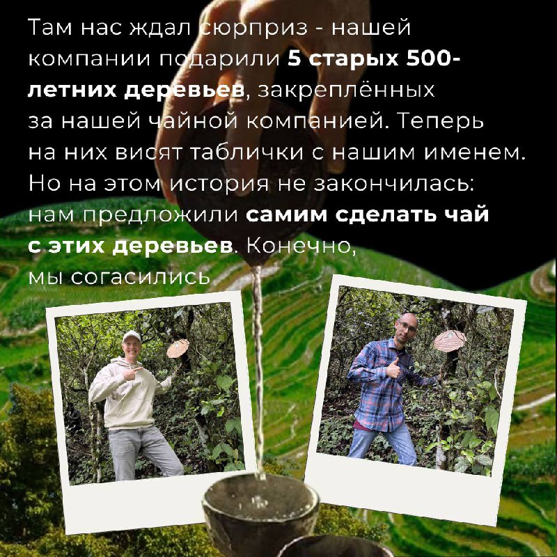 Для чайной компании важнее всего — доверие к партнёрам и уникальное сырьё — фото 2
