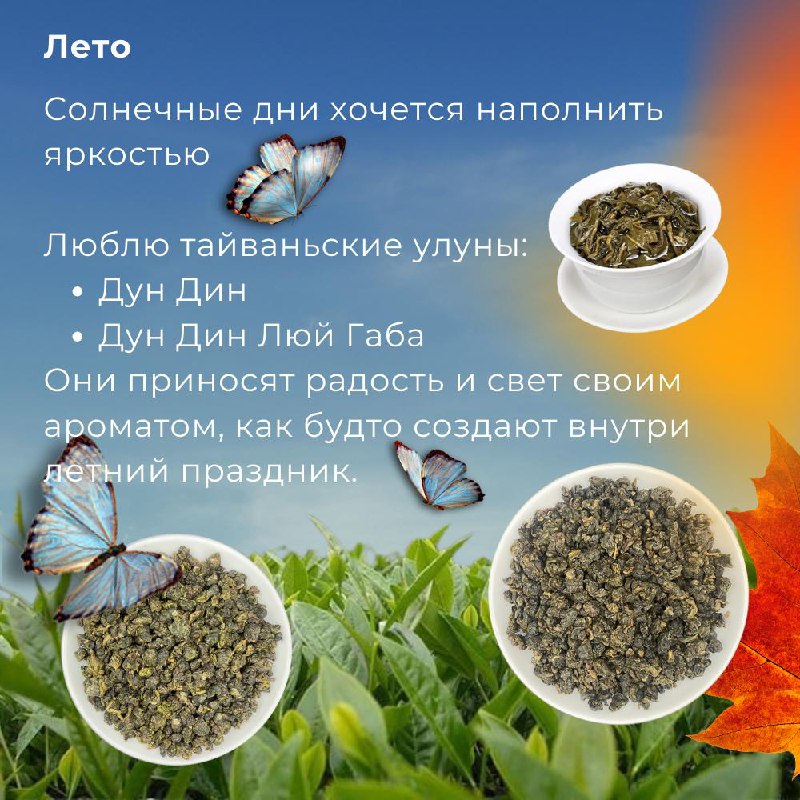 Продолжаем нашу подборку любимых чаёв сотрудников — фото 2