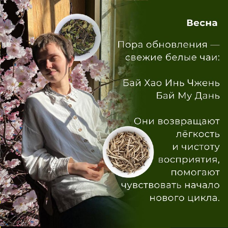 Продолжаем нашу подборку любимых чаёв сотрудников — фото 6