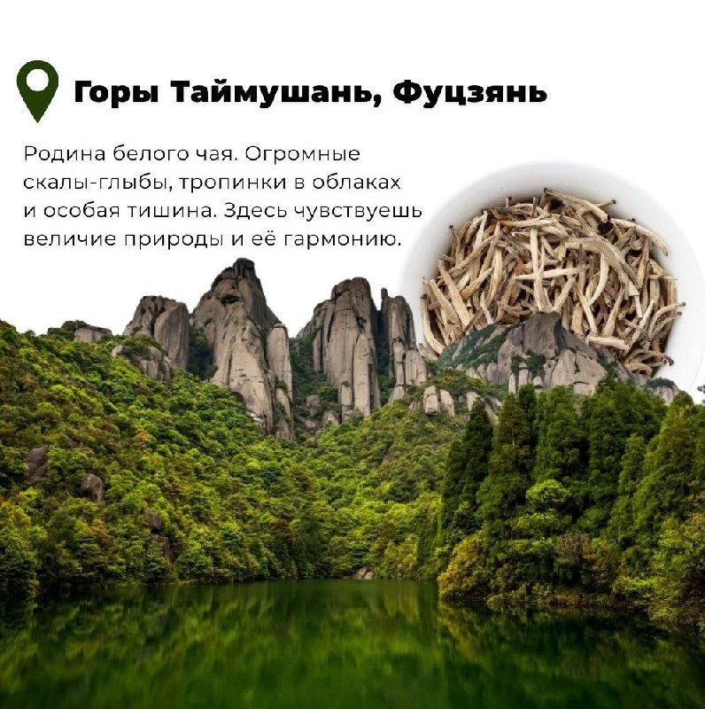 Китай открыл безвиз для россиян — фото 2