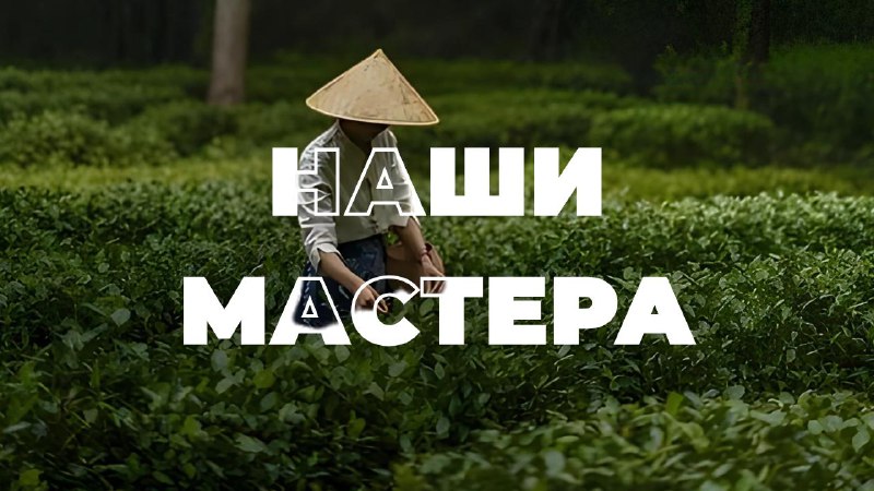 Кадр из публикации: Продолжаем делиться историями о наших поставщиках
