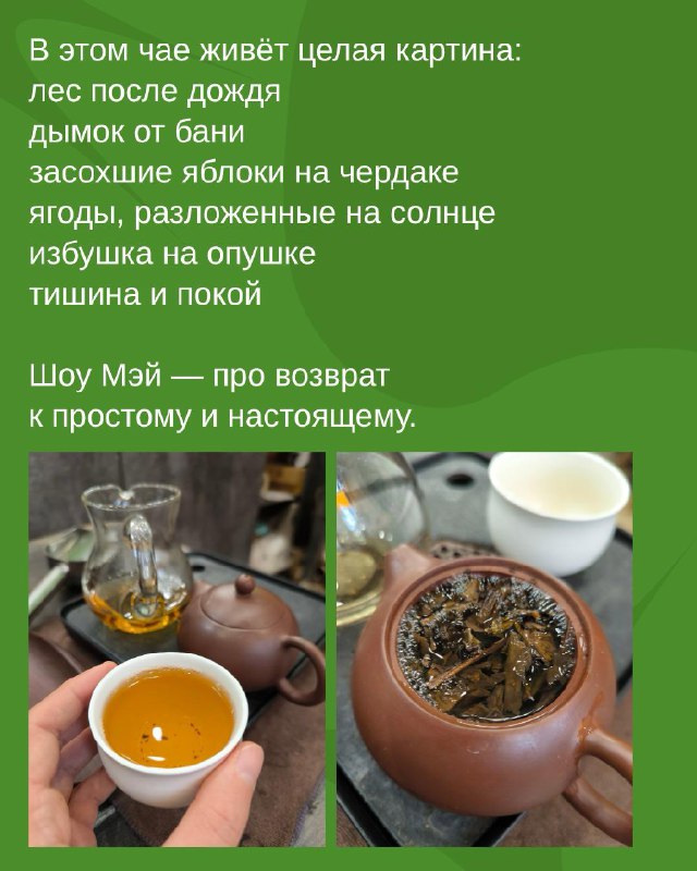 Лао Бай Ча, который пахнет деревней, баней и сухими ягодами — фото 3