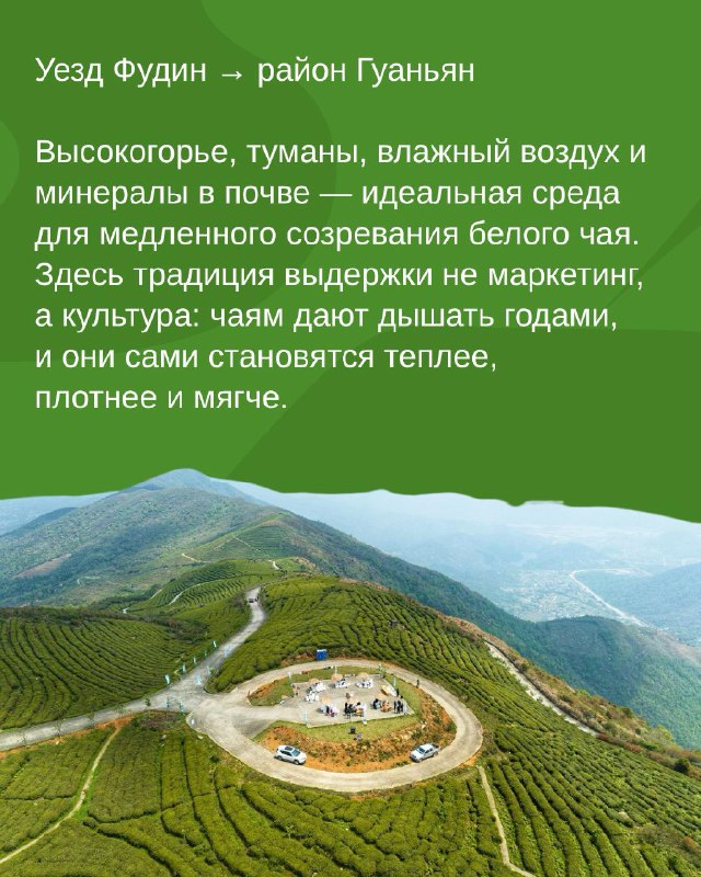 Лао Бай Ча, который пахнет деревней, баней и сухими ягодами — фото 4