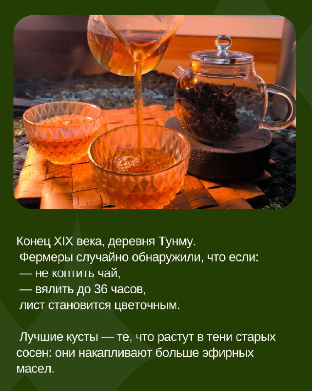 Тунмугуань Хуа Сян Хун Ча — фото 2