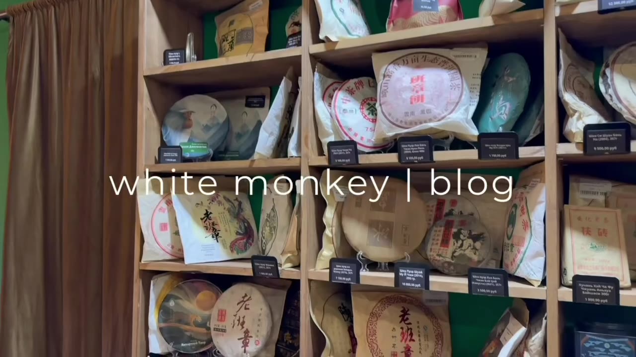 Кадр из публикации: white monkey | blog