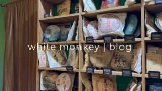 Кадр из публикации: white monkey | blog