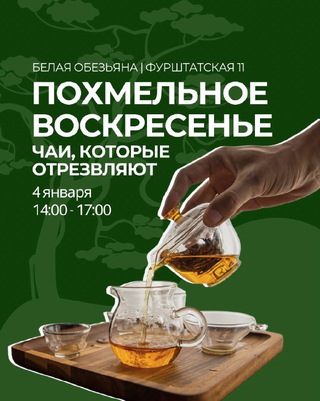 Кадр из публикации: Январские выходные в белой обезьяне
