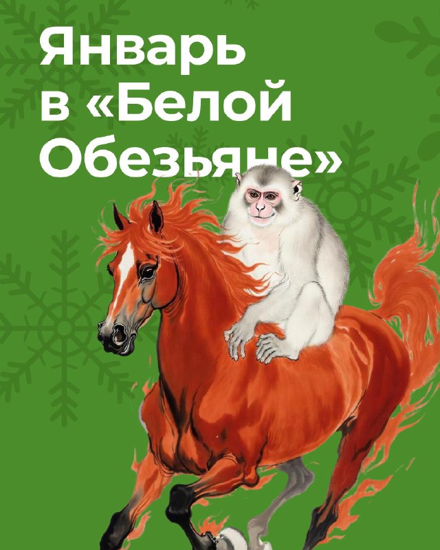 Кадр из публикации: ЯНВАРСКИЕ ДЕГУСТАЦИИ И СОБЫТИЯ «БЕЛОЙ ОБЕЗЬЯНЫ»