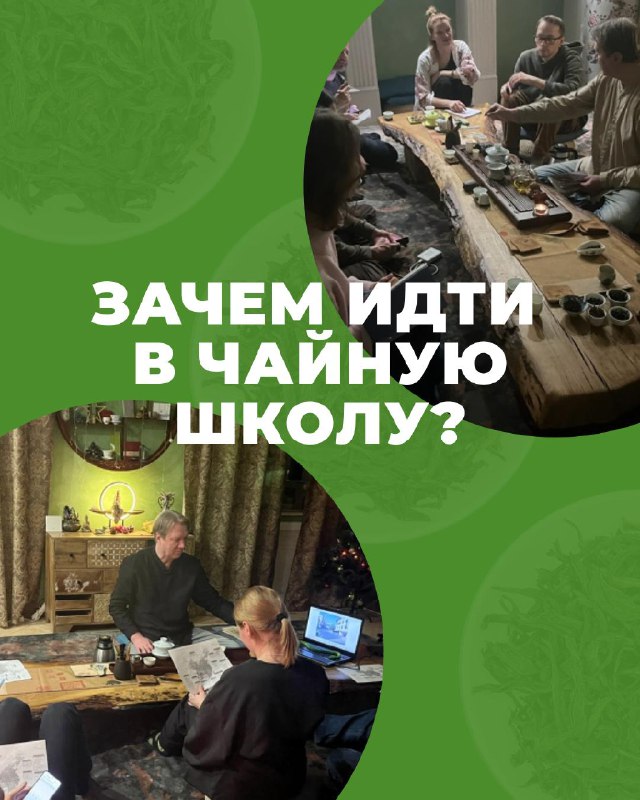 Мы часто получаем вопрос: зачем вообще нужна Чайная Школа? — фото 1